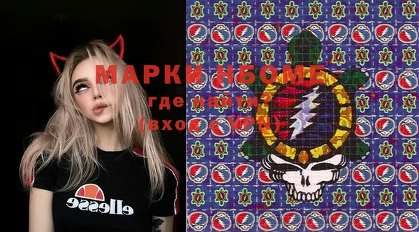 шишки Алексин