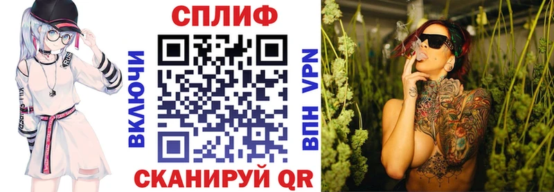 Бошки Шишки MAZAR  darknet наркотические препараты  Суджа 